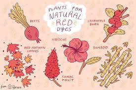 For Thousands Of Years Plants Have Been Used To Create Natural Dyes For Fabric And Yarn Learn How To How To Dye Fabric Natural Dye Fabric Natural Fabric Dyes