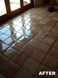 Man, stripping saltillo tile is no picnic; Saltillo Tile Cleaning Sealing Tucson Arizona Tile Grout