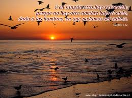 images?q=tbn:ANd9GcQQQNYWdEI3EN44t2aOCqD