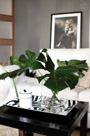 Glass vase with palm leaves. Palm Leaves In Simple Glass Vases Jars Home Decor Paintings Leaf Decor Decor