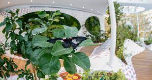 (see below for a shopping list and tools. The Butterfly Al Noor Island