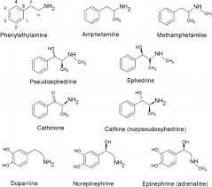 Adderall the brand name adderall is a chemical compound that is made up of powerful blends of. 16 1 Amphetamines And The Brain Chemistry Libretexts