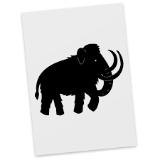 Postkarte Mammut Aus Karton 300 Gramm Weiss Das Original Von Mr Mrs Panda Jedes Wunderschone Motiv Auf Unsere Postkarten Geschenkkarte Kindergeburtstag