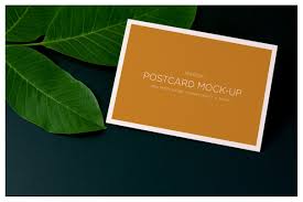 Postcard Mock Up Real Scenes Postcard Mockup Brochure Design Template Postcard