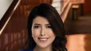 City of Austin Audit and Finance Committee met Nov. 12