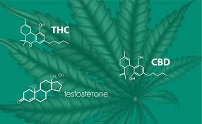Los archivos tch son compatibles con las aplicaciones de software disponibles para dispositivos que ejecutan windows. Testosterona Cual Es Su Relacion Con El Thc Y El Cbd Cbd Revision
