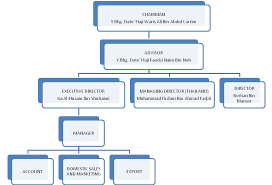 10 Efficient Free Organization Chart Template Word