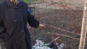 Beauvais Le Conflit Se Poursuit Aux Jardins Familiaux