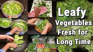 How To Store Vegetables In Fridge | Chillies | Curry Leaves | Coriander  Leaves | Kitchen Tips - Youtube