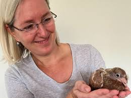 66 neue Spendenprojekte für WirWunderWuppertal