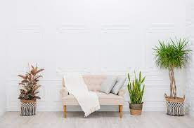 See more ideas about natural light full service, award winning recording studio in provo, utah. Natural Light Photography Studio