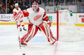 May 20, 2021 · detroit red wings: Detroit Red Wings The Carolina Hurricanes Need Jonathan Bernier