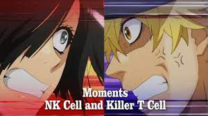 Killer t cell (キラーt細胞kirā tī saibō?) is a minor character in cells at work! Killer T Cell And Nk Cell Hataraku Saibou Episode 6 7 Youtube