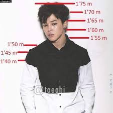 (how many members are in bts?) name. Jimin Height Guide Jimin Bts Jimin Grupo De Musica