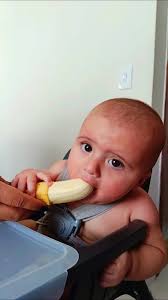 Julio Schwantz (@j.schwantz) • Instagram photos and videos