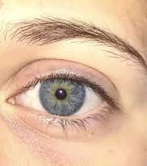 Check spelling or type a new query. Why Do Blue Eyes Tend To Look Green In A Lot Of Photos Quora