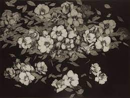 Check spelling or type a new query. Shinji Ando Prints Bassett Fine Prints Japanese Art Art Artist