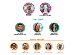Organizational Chart Designs Themes Templates And