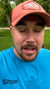 How to get rid of flys