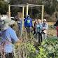 Urban Garden Tour: Therapeutic Nursery & Gardens event image