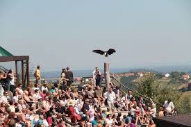 Von feldbach mit der verbund linie nr. Greifvogelwarte Riegersburg Ausflugsziel In Riegersburg Oststeiermark Steiermark