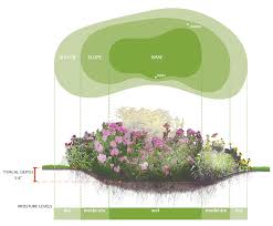 When rain falls on undisturbed areas, it is naturally slowed down and allowed to soak into the soil, while simultaneously being filtered by vegetation and. Pin On Rain Garden