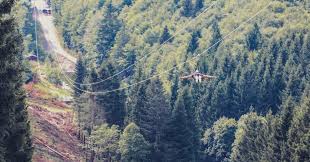 New york had the highest population of winterberg families in 1880. Neue Attraktion In Winterberg Mega Zippline Eroffnet Tourismus Nrw