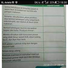 Makhluk hidup mendapatkan energi dari suatu makanan yang mereka makan, dan semua makhluk hidup. Frasa Benda Teks Observasi Rantai Makanan Di Antartika Brainly Co Id