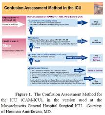 Image result for CAM-ICU