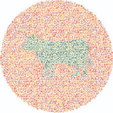 Colour vision perception tests are the only way to be sure you perceive colours normally. Color Blind Test For Kids