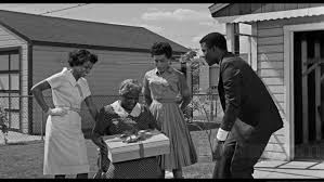 What is the plot of a raisin in the sun? A Raisin In The Sun Blu Ray