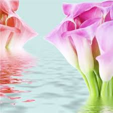 Wallpaper gifs get the best gif on giphy. Gambar Hp Wallpapers Free Gambar Hp Wallpaper Download Wallpapertip