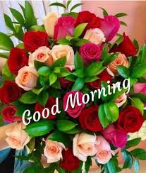 With tenor, maker of gif keyboard, add popular good morning coffee animated gifs to your conversations. Pin By Aditi Kumari On Good Morning Good Morning Flowers Good Morning Images Flowers Good Morning Friends Images