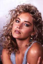 Quién era más guapa en su mejor momento: Sharon Stone o Michelle Pfeiffer?  : r/VindictaRateCelebs