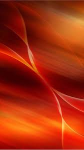 Green background, studio shot, red, purple background, green color background, flower. 200 Orange Wallpapers Ideas Orange Wallpaper Wallpaper Orange