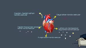 Agar sistem imun tetap terjaga, latihan daya tahan berikut ini bisa kamu lakukan meski di rumah saja.</p. Daya Tahan Kardiovaskular By On Prezi Next