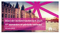 Tourism in Île-de-France Sees Robust Growth and Economic Impact in 2025