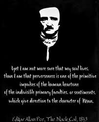 Edgar Allan Poe Quotes Sayings Witty Man Men Lives Edgar Allan Poe Poe Edgar