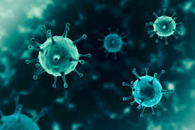 It was first identified in december 2019 in wuhan,. 1ngyfzy3qieznm