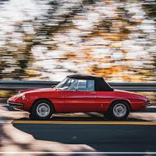 Image result for Vert 1988 ARO