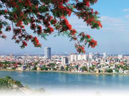 Delonix regia) (họ fabaceae) (tiếng trung: Tháº¯m Mau Hoa PhÆ°á»£ng Loai Hoa Biá»u TrÆ°ng Cá»§a Thanh Phá»'