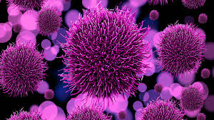 Resultado de imagen de virus