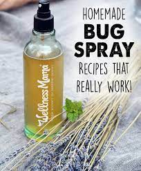 Jul 17, 2013 · natural insect repellent for camping from green boot living. All Natural Homemade Bug Spray Recipes That Work Homemade Bug Spray Recipe Bug Spray Recipe Homemade Bug Spray