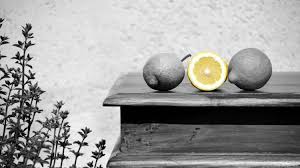 When life gives you lemons … hold a virtual international fish conference. When Life Gives You Lemons Make Lemonade Wikipedia