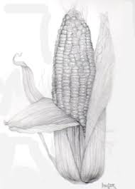 We did not find results for: Corn On The Cob Drawing By Inger Hutton