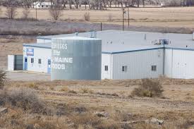 Pin By Nellie Brogan On Breaking Bad Factory Farming Breaking Bad Gustavo Fring