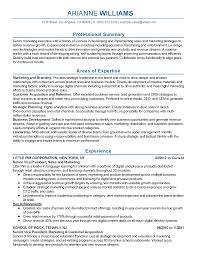 Professional Senior Marketing Executive Templates To Showcase Your Talent Myperfectresume