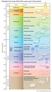 Evolucion Geociencias Ciencias De La Naturaleza Ciencias De La Tierra