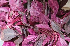 Maybe you would like to learn more about one of these? 10 Manfaat Bayam Merah Yang Jarang Diketahui Baik Untuk Tubuh
