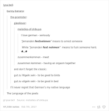 Funny German Language Geeky Quotes Cheer Up Language Jokes